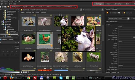 ACDSee Pro 4 — программа для просмотра и редактирования фотографий.
